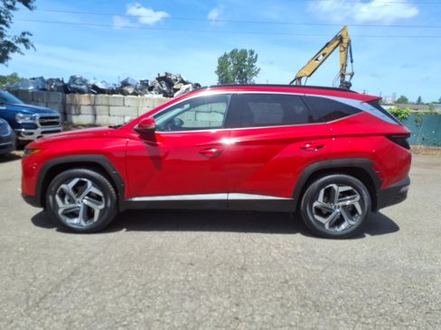 Used 2023 Hyundai Tucson Limited AWD/4WD image 3
