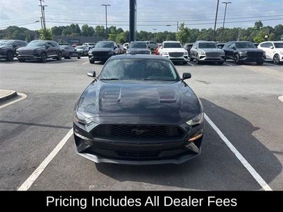 Used 2019 Ford Mustang Coupe w/ Equipment Group 101A
