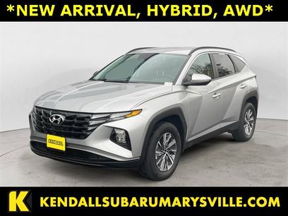Used 2024 Hyundai Tucson Blue