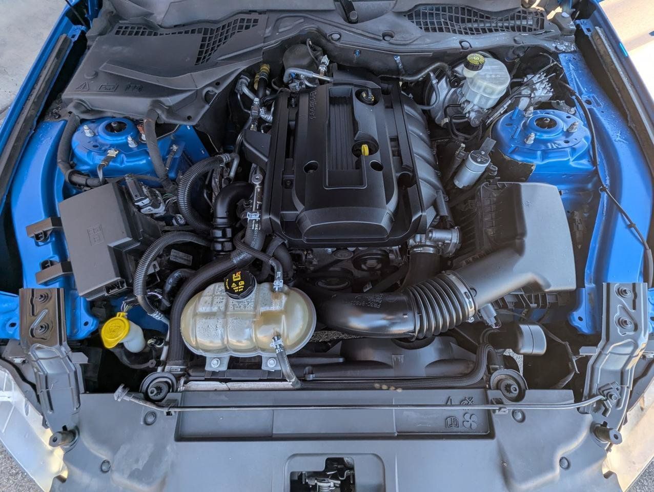 Used 2019 Ford Mustang Coupe w/ Equipment Group 101A RWD image 22