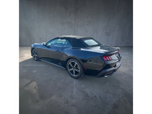 Used 2025 Ford Mustang Premium image 4