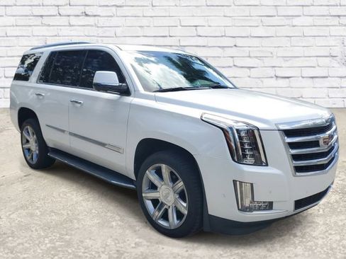 Used 2019 Cadillac Escalade Luxury RWD image 5