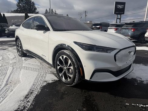 Used 2021 Ford Mustang Mach-E Premium image 10