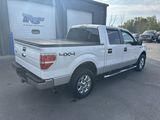 Used 2014 Ford F150 XLT w/ Equipment Group 302A Luxury image 3