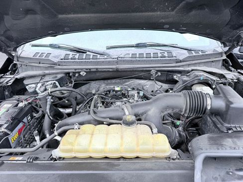 Used 2019 Ford F150 XLT w/ Equipment Group 302A Luxury AWD/4WD image 18