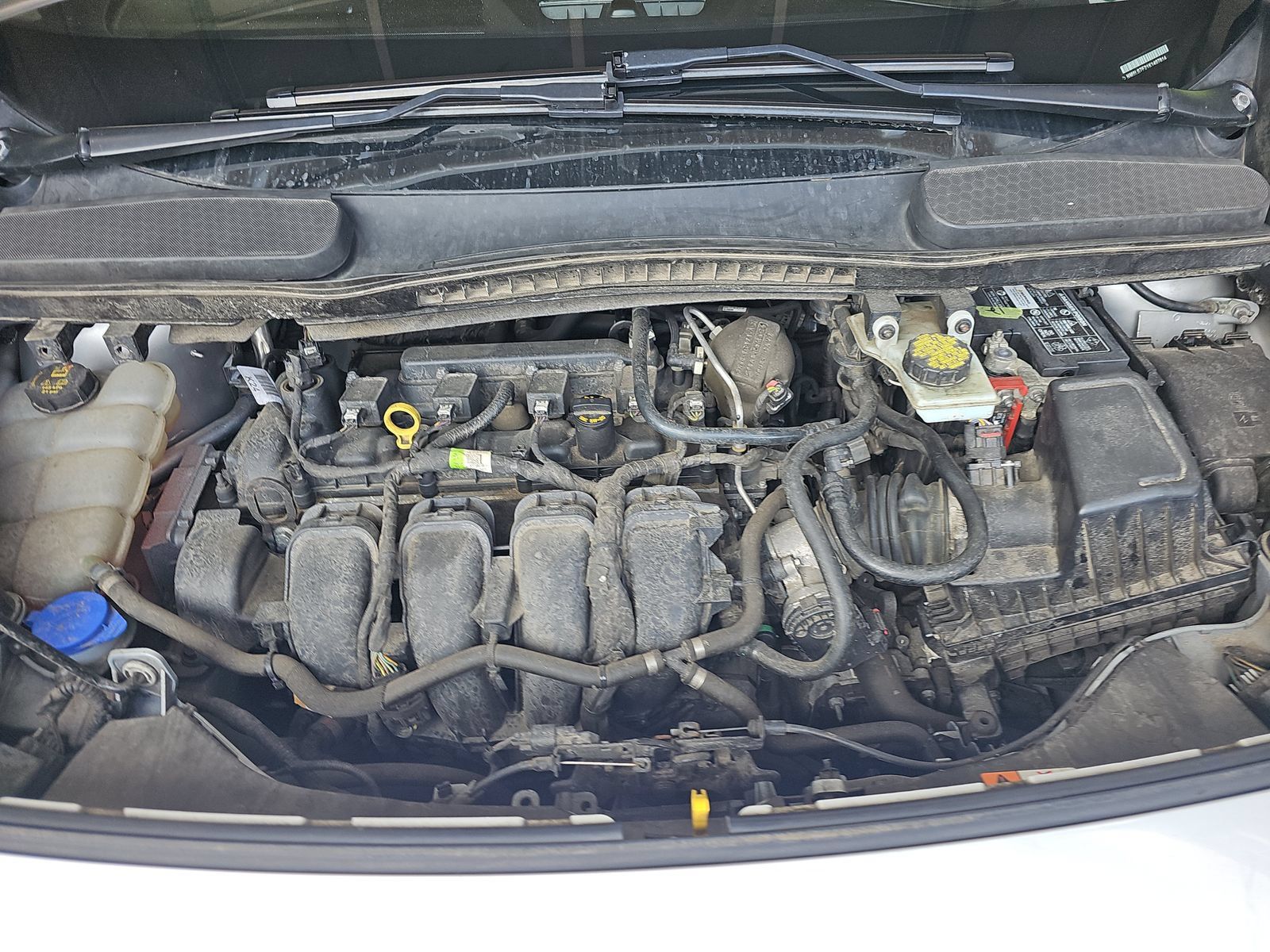 Used 2019 Ford Transit Connect XLT FWD image 15