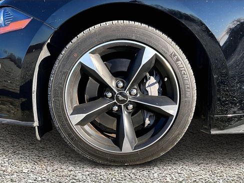 Used 2019 Ford Mustang GT w/ Equipment Group 301A image 9