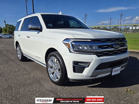 Used 2023 Ford Expedition Platinum image 1