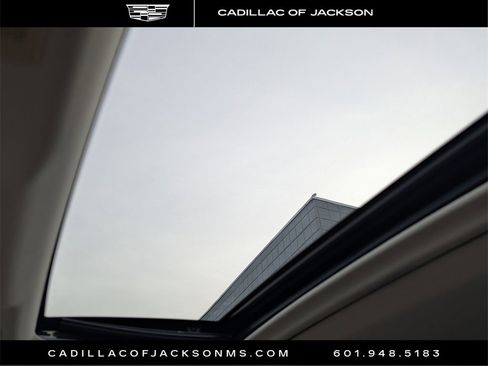 Used 2020 Lexus ES 350 w/ Premium Package image 22