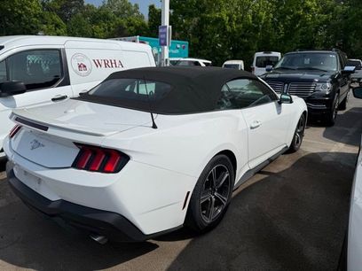 Used 2024 Ford Mustang Premium