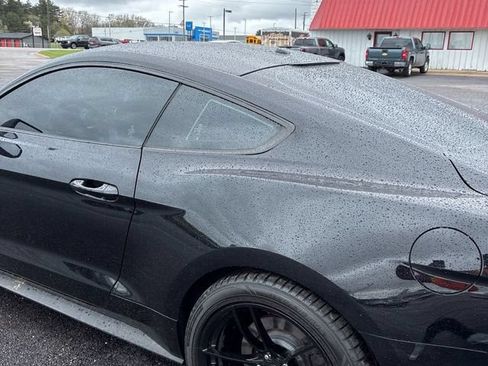 Used 2019 Ford Mustang GT Premium w/ GT Performance Package RWD image 6
