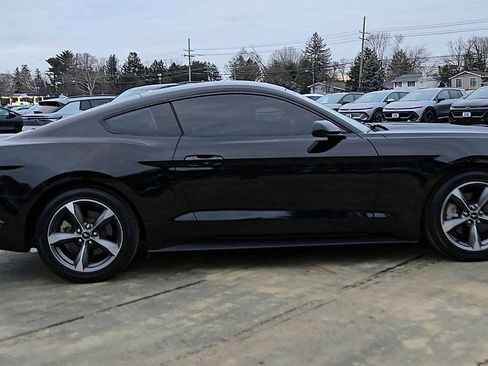 Used 2015 Ford Mustang Coupe w/ Equipment Group 051A image 5