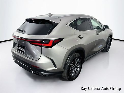 Certified 2025 Lexus NX 350h AWD w/ Cold Area Package image 7
