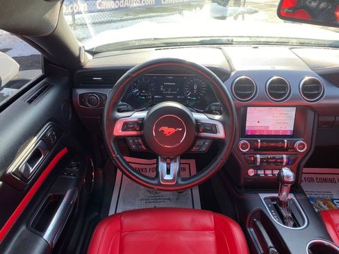 Used 2019 Ford Mustang GT Premium w/ Equipment Group 401A image 17