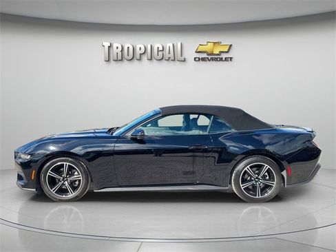 Used 2025 Ford Mustang Premium image 2