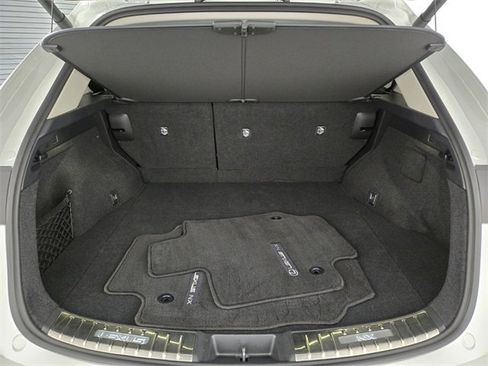 Certified 2025 Lexus NX 350h AWD w/ Cold Area Package image 20