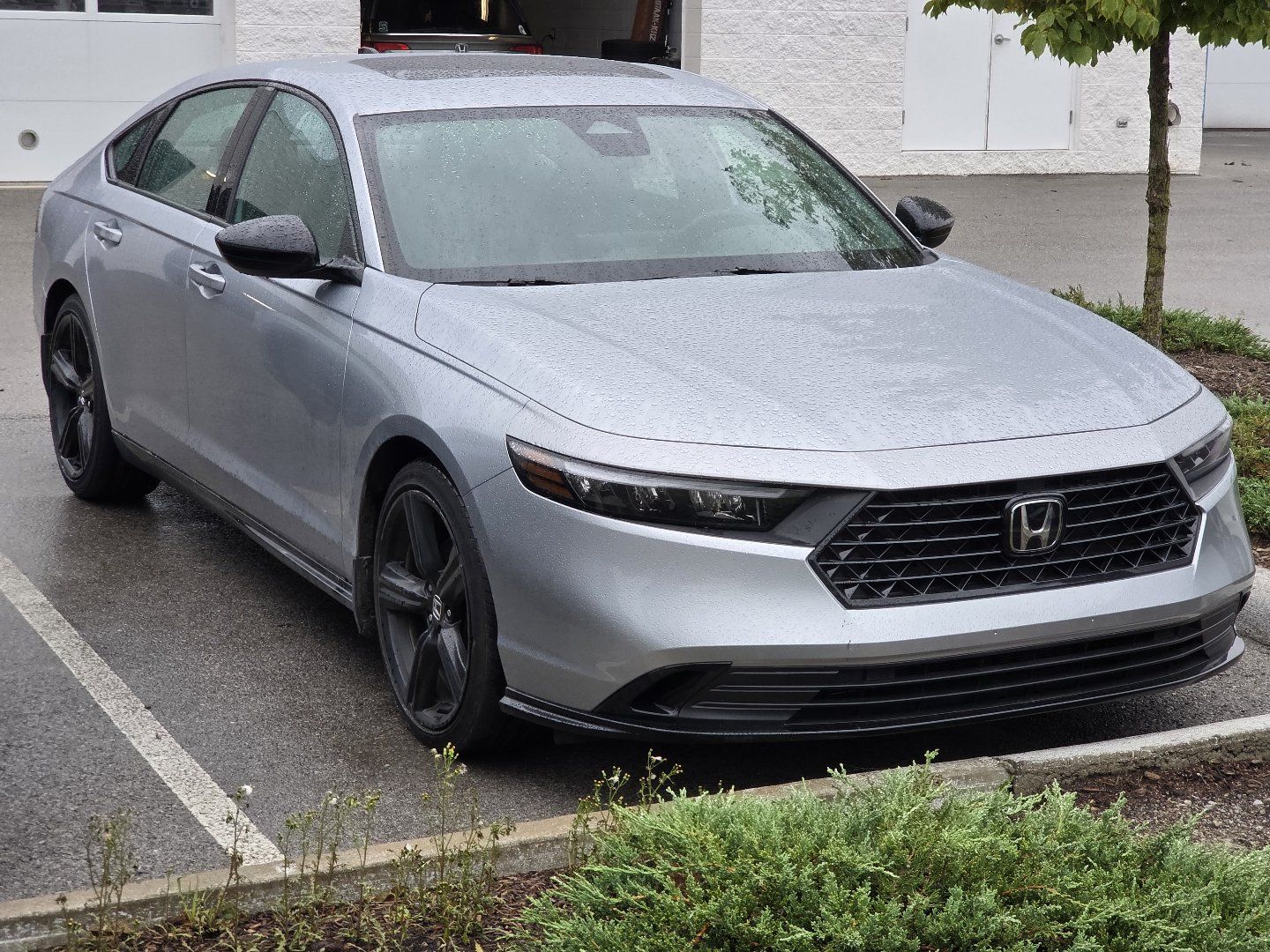 Used 2023 Honda Accord Sport image 2