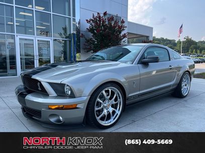 Used 2008 Ford Mustang Shelby GT500