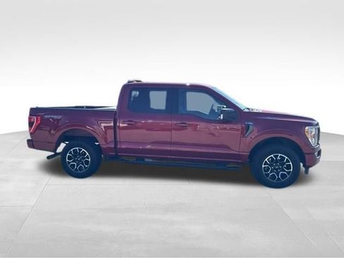 Used 2021 Ford F150 XLT w/ Equipment Group 302A High AWD/4WD image 6