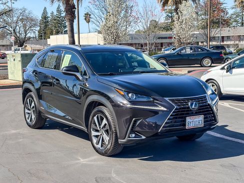 Used 2019 Lexus NX 300h AWD w/ Premium Package image 5