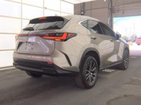Used 2024 Lexus NX 250 FWD image 2
