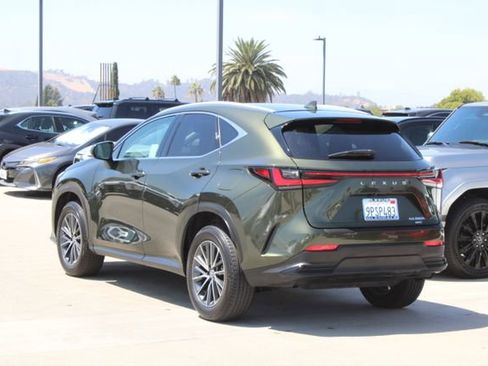 Certified 2025 Lexus NX 350h AWD w/ Cold Area Package image 19