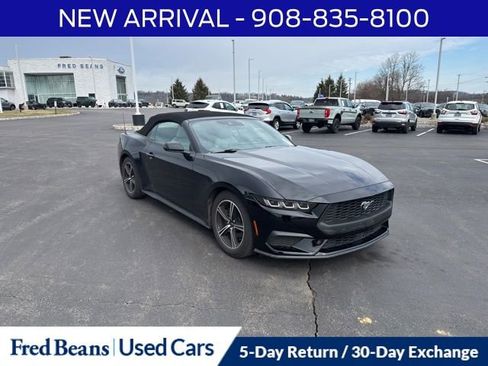 Used 2024 Ford Mustang Premium image 1