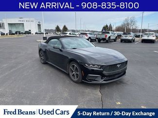 Used 2024 Ford Mustang Premium video 1