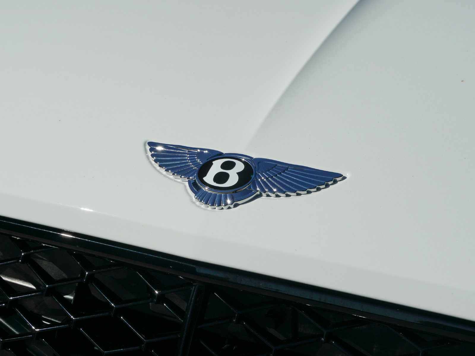 Used 2025 Bentley Continental GT Speed AWD/4WD image 33