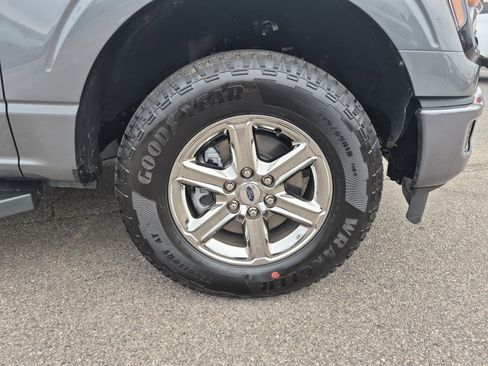 Used 2025 Ford F150 XLT w/ Equipment Group 301A Standard image 11