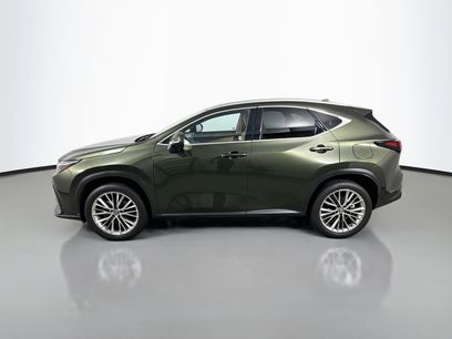 Used 2024 Lexus NX 350h AWD w/ Vision Package