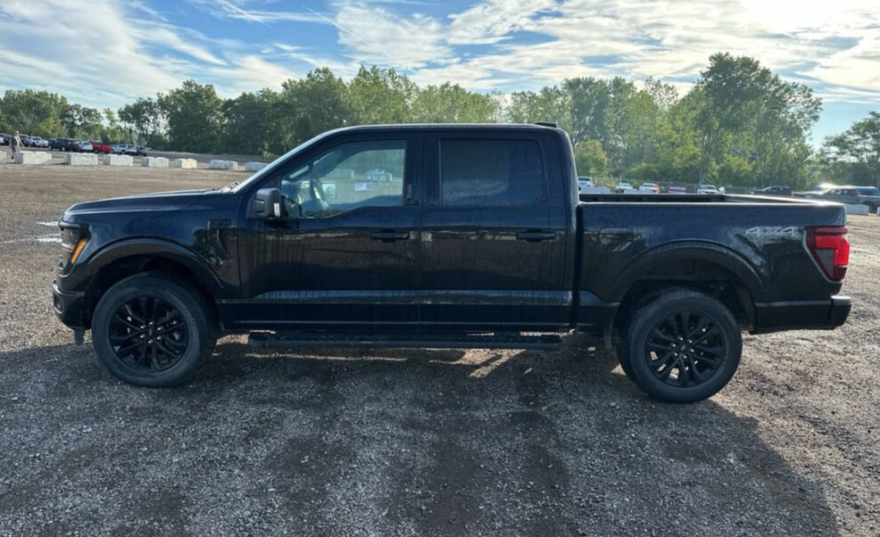 Used 2024 Ford F150 XLT w/ Equipment Group 302A MID AWD/4WD image 3
