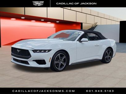 Used 2024 Ford Mustang Premium