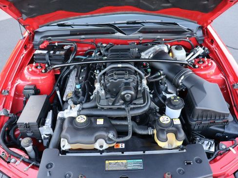 Used 2008 Ford Mustang Shelby GT500 image 45