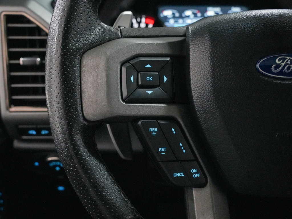 Used 2019 Ford F150 Raptor w/ Equipment Group 802A Luxury AWD/4WD image 14