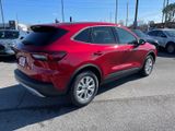 New 2025 Ford Escape Active w/ Tech Pack #1 image 4