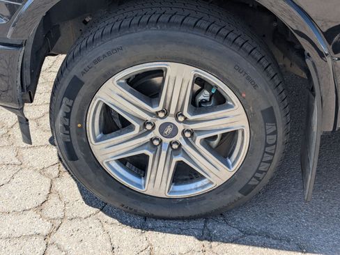 Used 2019 Ford F150 XLT w/ Equipment Group 302A Luxury image 14