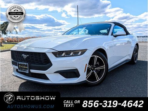 Used 2024 Ford Mustang Premium image 1