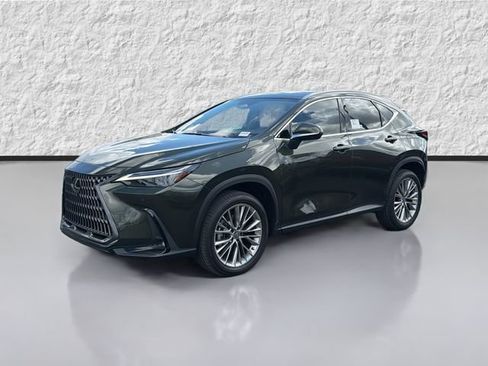 New 2026 Lexus NX 350 AWD w/ Cold Area Package image 7