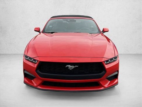 Used 2024 Ford Mustang Premium RWD image 2