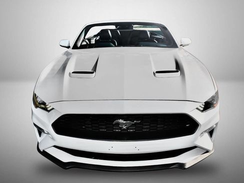 Used 2019 Ford Mustang Premium w/ Equipment Group 201A image 18