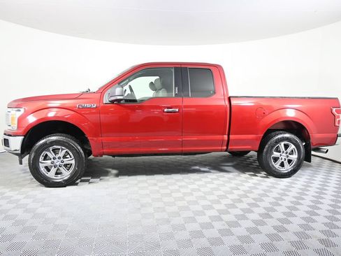 Used 2019 Ford F150 XLT w/ Equipment Group 302A Luxury AWD/4WD image 2