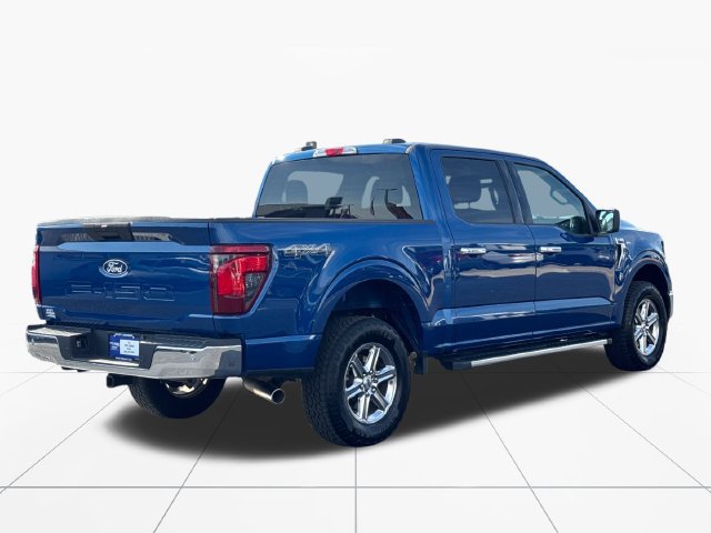 Used 2025 Ford F150 XLT w/ Equipment Group 301A Standard AWD/4WD image 6