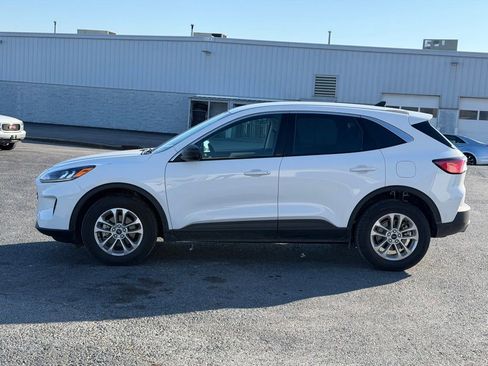 Used 2022 Ford Escape SE w/ Convenience Package image 8