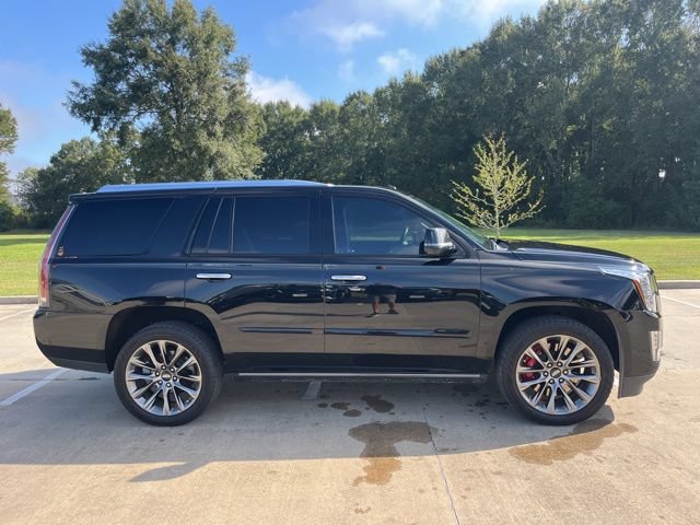 Used 2020 Cadillac Escalade Platinum AWD/4WD image 7