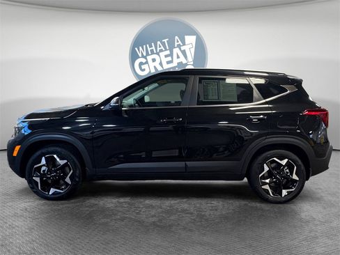 Certified 2025 Kia Seltos EX w/ EX Sunroof Package image 7