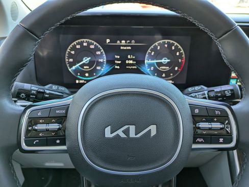 Used 2024 Kia Carnival SX Prestige image 24