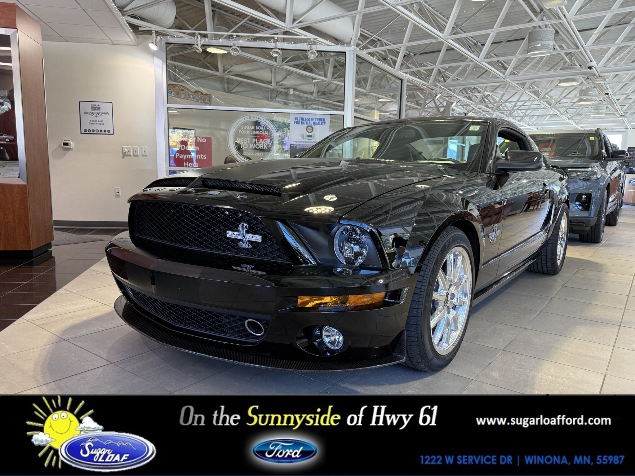 Used 2008 Ford Mustang Shelby GT500 RWD image 1