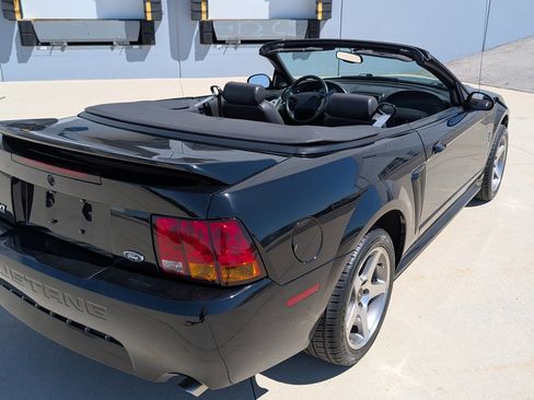 Used 1999 Ford Mustang Cobra RWD image 14