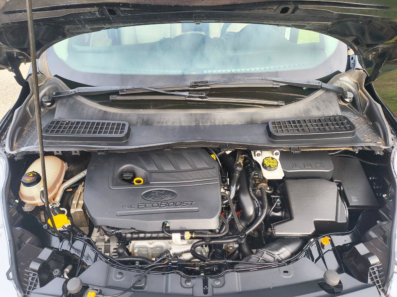 Used 2018 Ford Escape SE FWD image 19